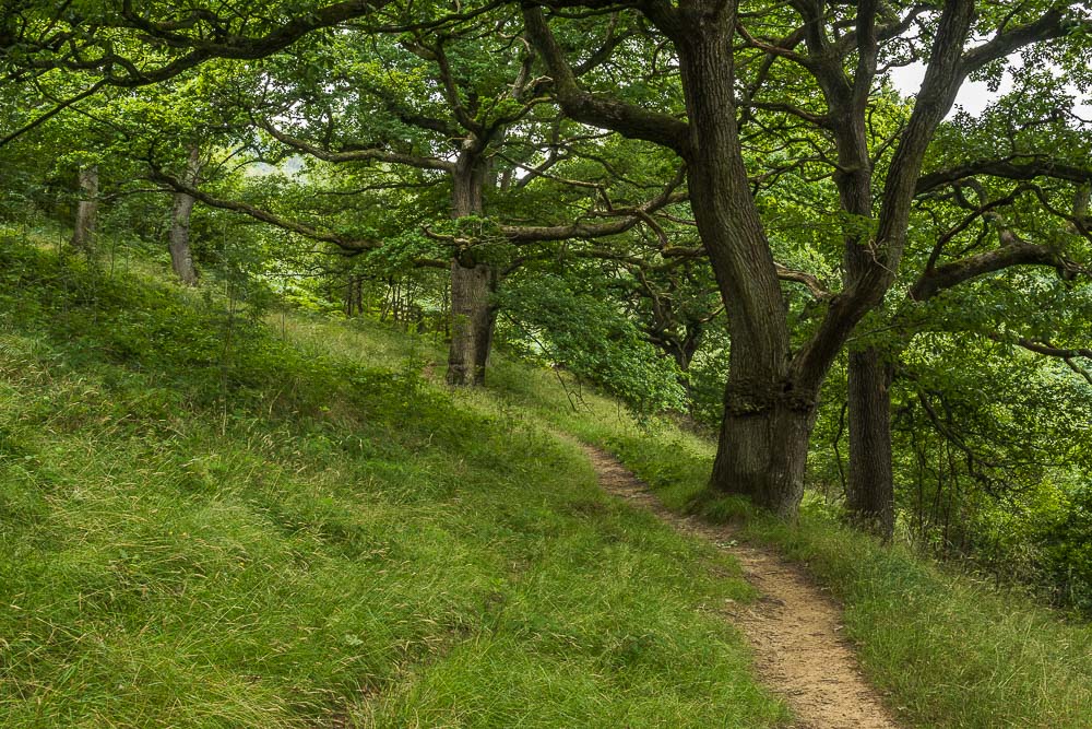Bretton Clough